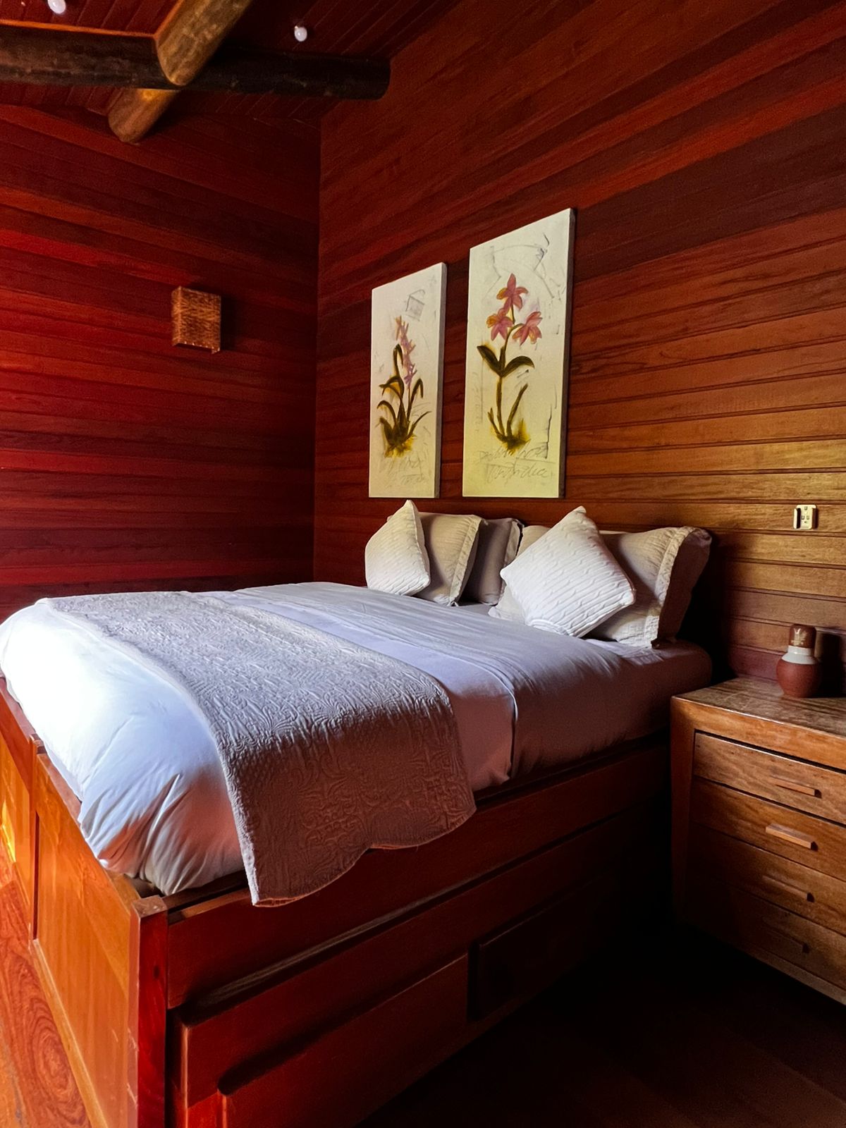 WhatsApp Image 2026-03-04 at 12.26.58